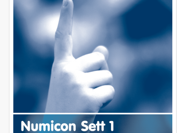 Numicon Evaluering av individuell fremgang